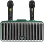 Караоке система с двумя радиомикрофонами  SDRD SD-319 Emerald Green