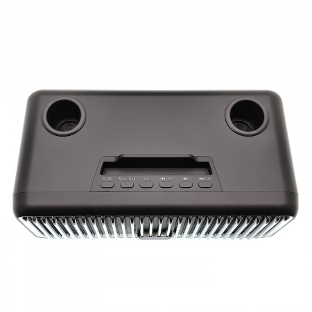 Караоке система с двумя радиомикрофонами  SDRD SD-319 Gold