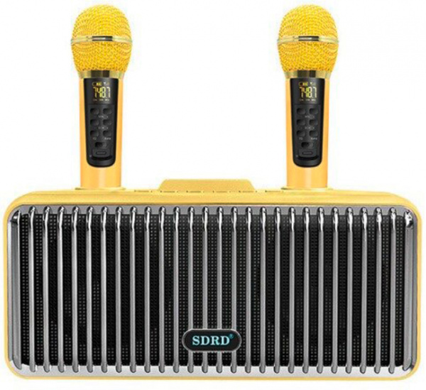 Караоке система с двумя радиомикрофонами  SDRD SD-319 Gold