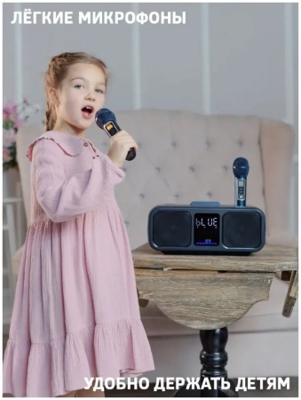 Караоке система с двумя радиомикрофонами SDRD SD 318 Grey