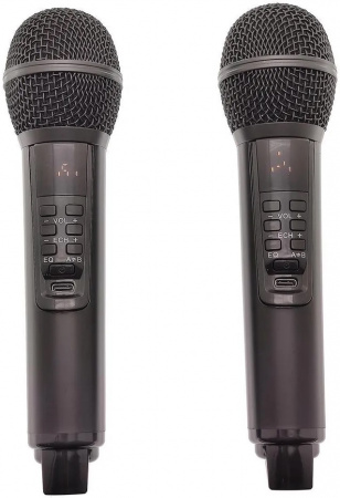 Караоке система с двумя радиомикрофонами  SDRD SD-319 Gold