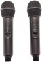 Караоке система с двумя радиомикрофонами  SDRD SD-319 Gold